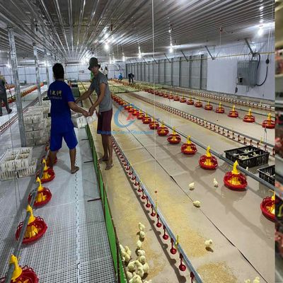 Moderne Q235 Q345 staalstructuur pluimveehuis voor efficiënte landbouw