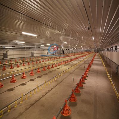 Economisch staalgebouwen Op maat gemaakte staalconstructies