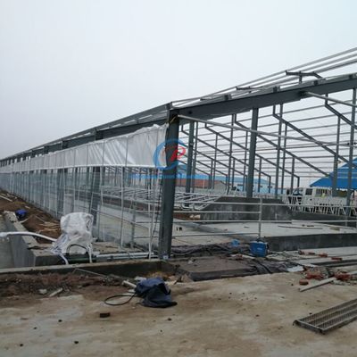 Voorgefabriceerde staalconstructie koeienstal op maat staal frame shed
