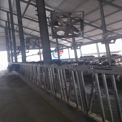 Moderne geprefabriceerde staalconstructie Boerderij met licht sandwichpaneel