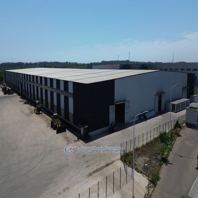 Custom Steel Structure Warehouse met gegalvaniseerde of geverfde afwerking