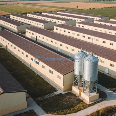 Steel Structure Poultry Farm House for Layer Chicken House